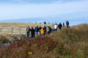 kandel 2011 auf einen blick 01