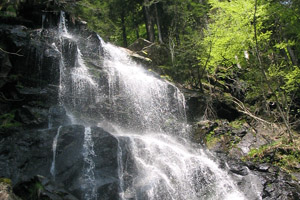 Detail Zweribach Wasserfall